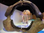 The Houston Museum of Natural Science - Image 10