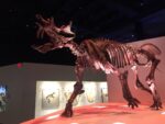The Houston Museum of Natural Science - Image 9