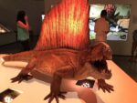 The Houston Museum of Natural Science - Image 2