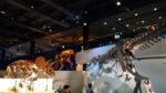 The Houston Museum of Natural Science - Image 13