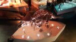 The Houston Museum of Natural Science - Image 11