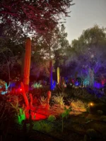 Al Noor Island - Image 2