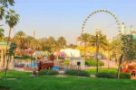 Al Montazah Parks Sharjah - Image 4