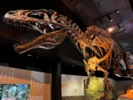 The Houston Museum of Natural Science
