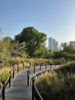 Al Noor Island - Image 7