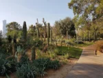 Al Noor Island - Image 6