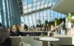 Sky Garden Experience - Image 4