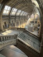 Natural History Museum Tour - Image 6