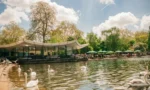 Hyde Park Experience - Image 4