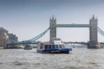 River Thames Cruise - Image 7