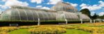 Kew Gardens Tour - Image 4