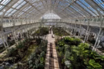 Kew Gardens Tour - Image 5