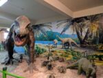 Natural History Museum Tour - Image 8