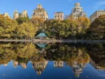 Central Park New York - Image 10
