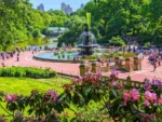 Central Park New York - Image 8