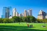 Central Park New York - Image 7