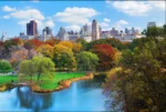 Central Park New York - Image 6