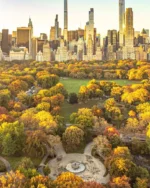 Central Park New York - Image 5