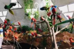 Dubai Butterfly Garden - Image 8