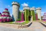 Dubai Miracle Garden - Image 7