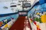 Ski Dubai - Image 6