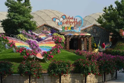 Dubai Butterfly Garden