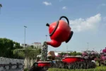 Dubai Miracle Garden - Image 4