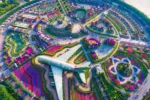 Dubai Miracle Garden - Image 6