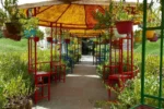 Dubai Butterfly Garden - Image 7