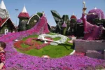 Dubai Miracle Garden - Image 2