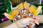 Dubai Butterfly Garden - Image 4