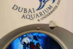 Dubai Aquarium & Underwater Zoo