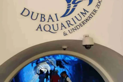 Dubai Aquarium & Underwater Zoo