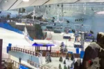 Ski Dubai - Image 3