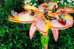 Dubai Butterfly Garden - Image 6