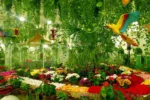 Dubai Butterfly Garden - Image 5