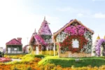 Dubai Miracle Garden