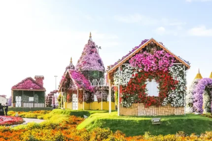 Dubai Miracle Garden
