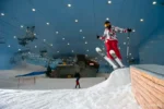 Ski Dubai - Image 10