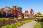 Dubai Miracle Garden - Image 10