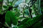 The Green Planet Dubai - Image 8