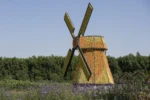 Dubai Miracle Garden - Image 8