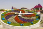 Dubai Miracle Garden - Image 9