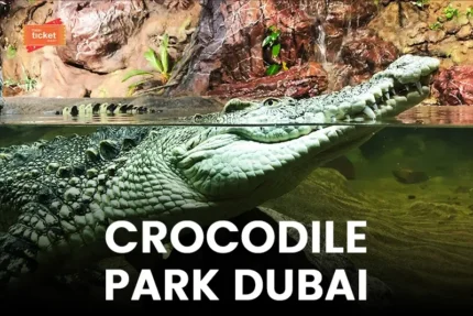Dubai Crocodile Park