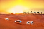 Dubai Desert Safari Experience - Image 9