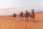 Dubai Desert Safari Experience - Image 8