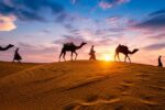 Dubai Desert Safari Experience - Image 4