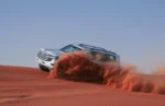 Dubai Desert Safari Experience - Image 5